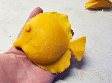 fish hexa|3D Printed – FishOfHex Aquatics.